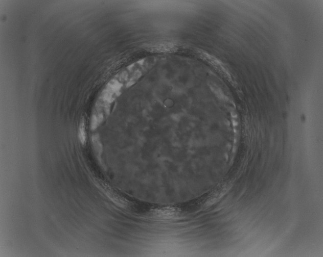 X0000077320069200611031716