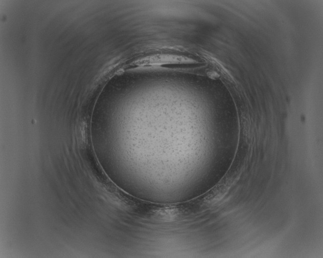 X0000077320071200611031716