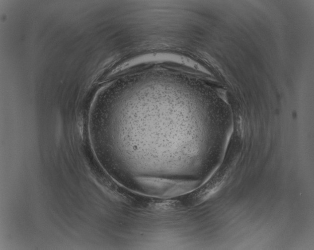 X0000077320072200611031716