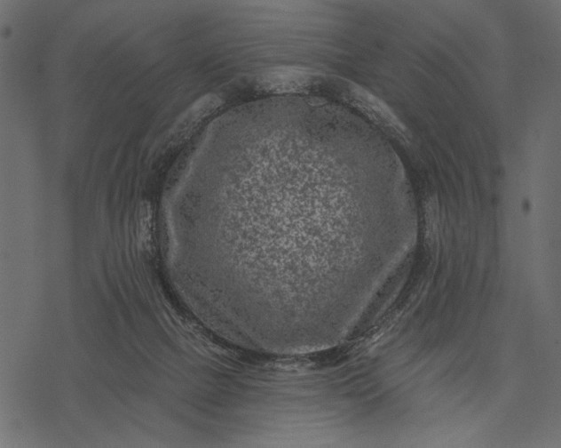 X0000077320073200611031716