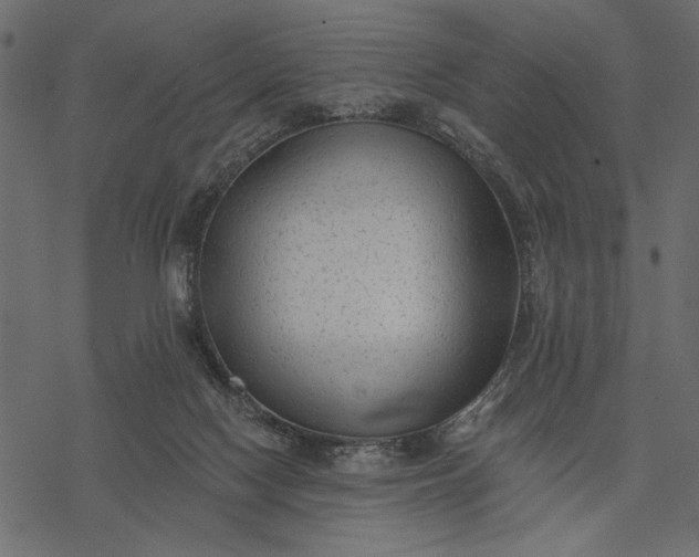 X0000077320074200611031716