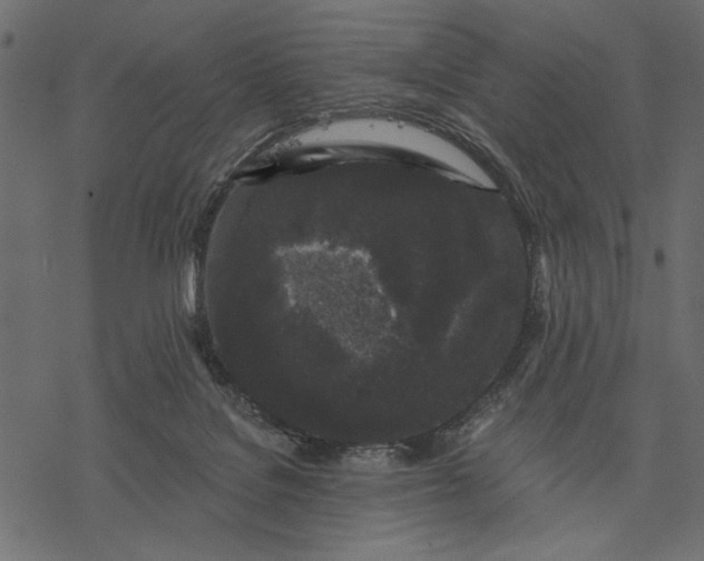 X0000077320076200611031716