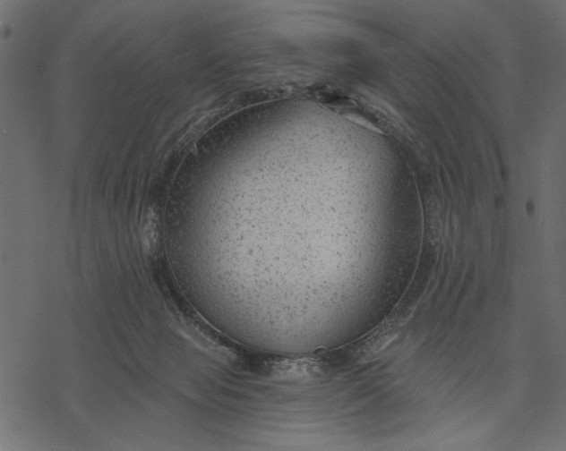 X0000077320077200611031716