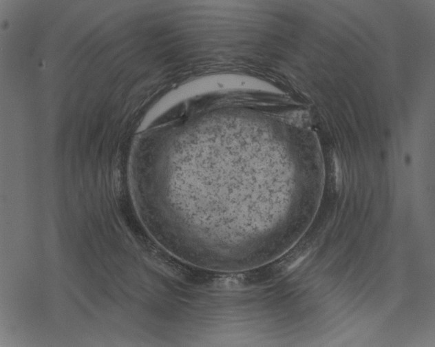 X0000077320080200611031716