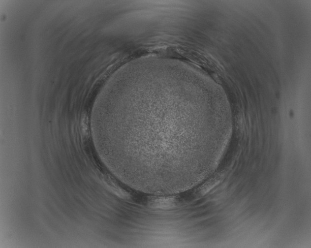 X0000077320081200611031716