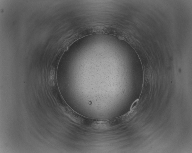 X0000077320082200611031716