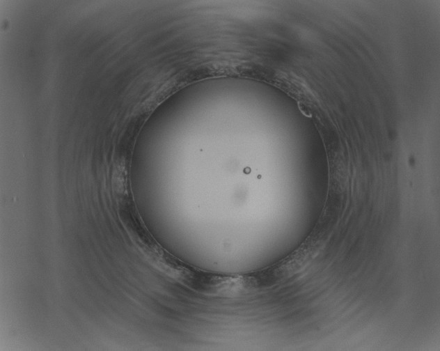 X0000077320083200611031716