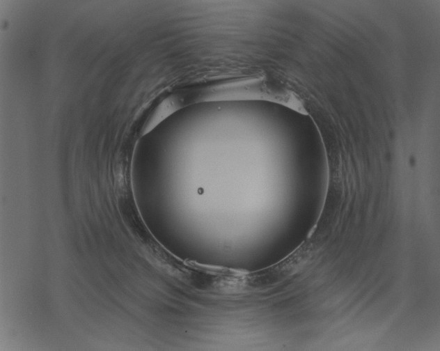 X0000077320084200611031716