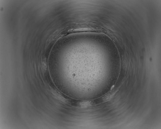 X0000077320085200611031716