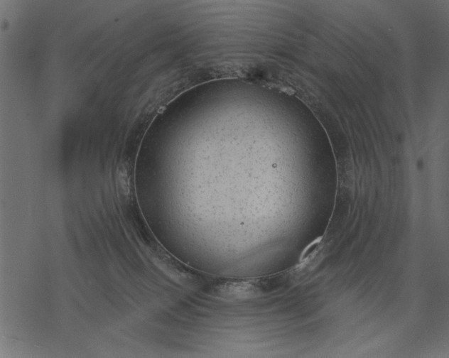 X0000077320086200611031716