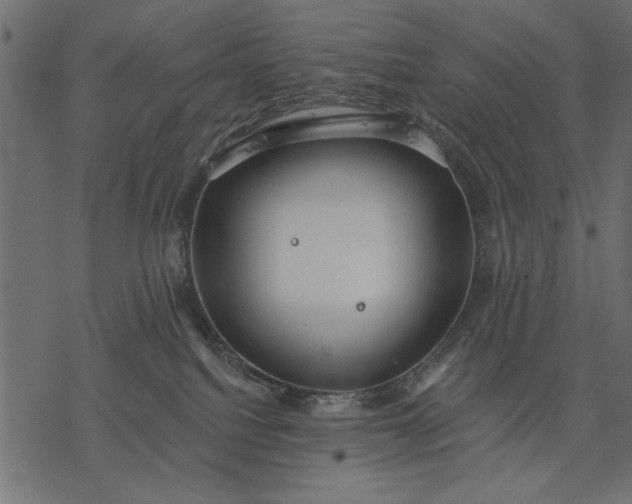 X0000077320088200611031716