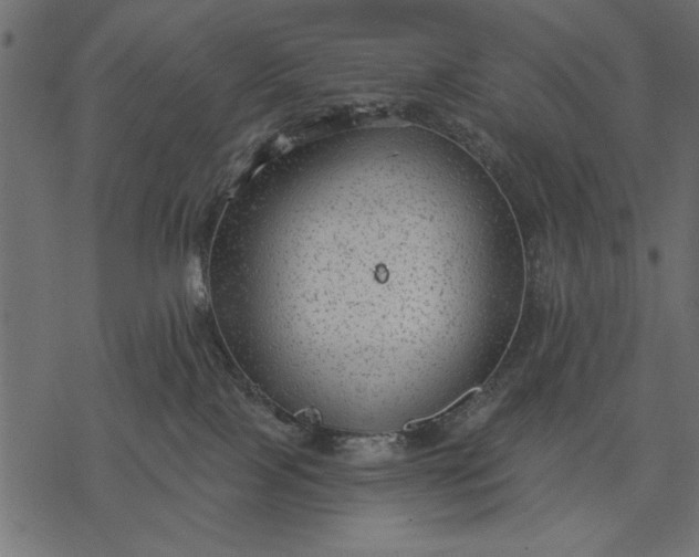 X0000077320089200611031716