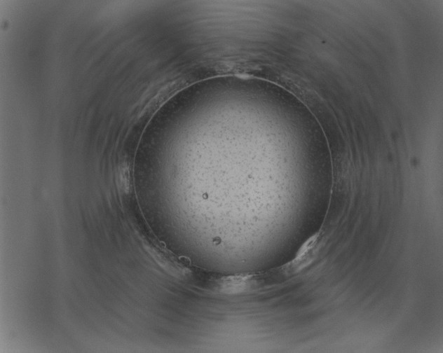 X0000077320090200611031716