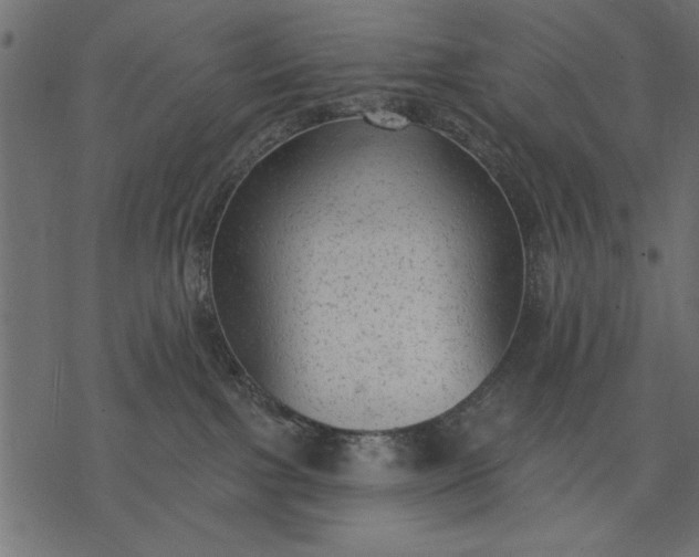 X0000077320091200611031716