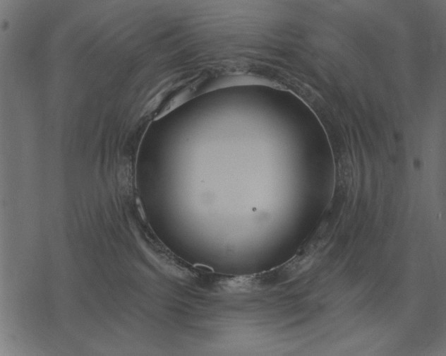 X0000077320092200611031716