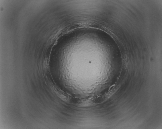 X0000077320093200611031716