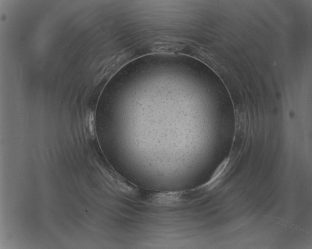 X0000077320094200611031716