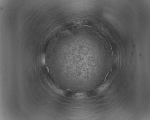 X0000077320095200611031716