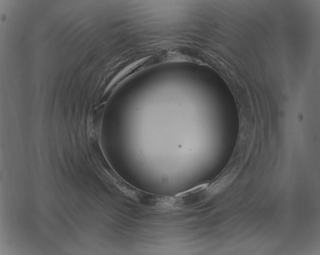 X0000077320096200611031716