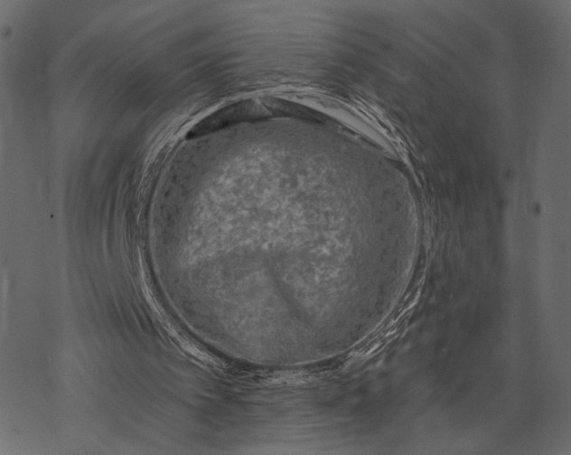 X0000077320097200611031715