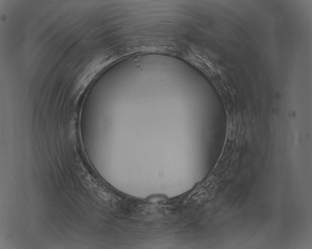 X0000077320098200611031715