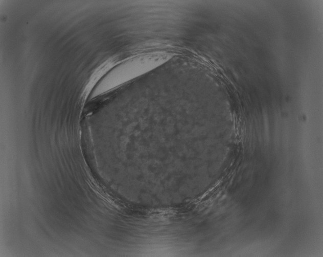 X0000077320099200611031715