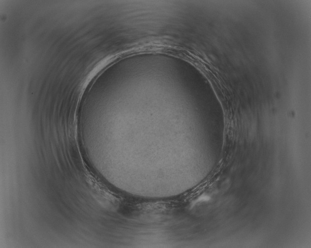 X0000077320100200611031715