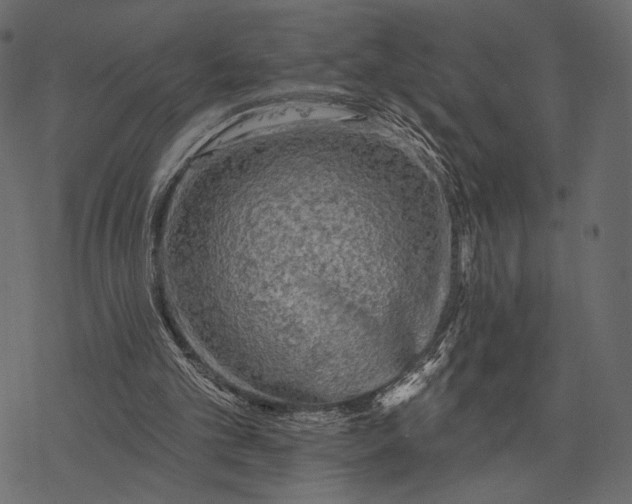 X0000077320101200611031715