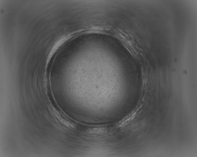 X0000077320102200611031715