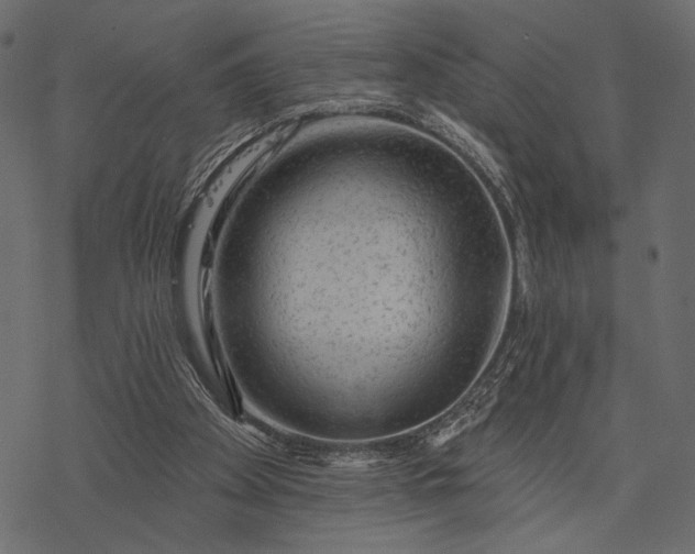 X0000077320105200611031715