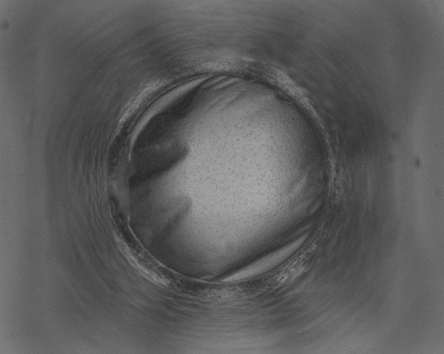 X0000077320106200611031715