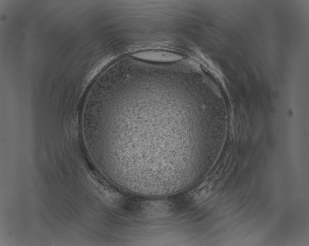 X0000077320107200611031715