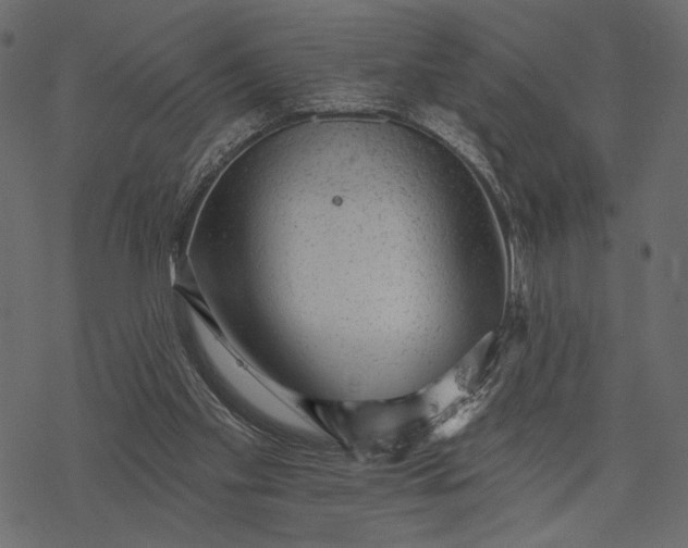 X0000077320109200611031715