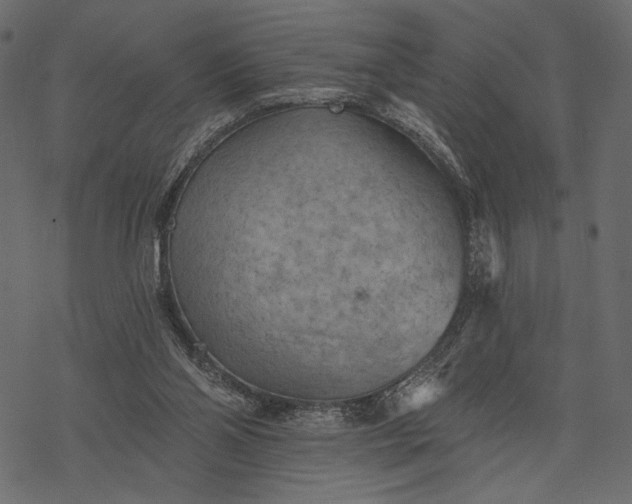 X0000077320110200611031715