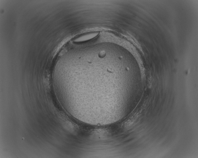 X0000077320111200611031715