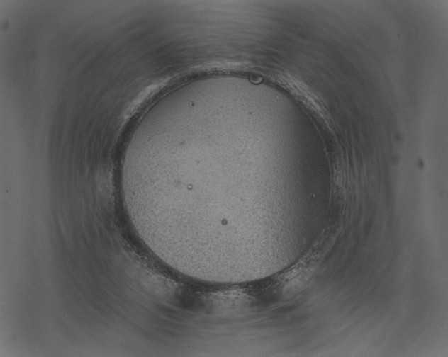 X0000077320112200611031715