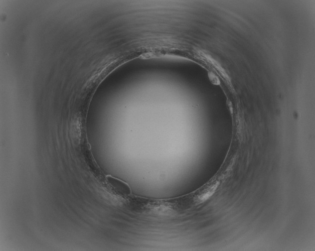 X0000077320113200611031715