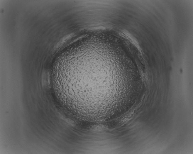 X0000077320115200611031715