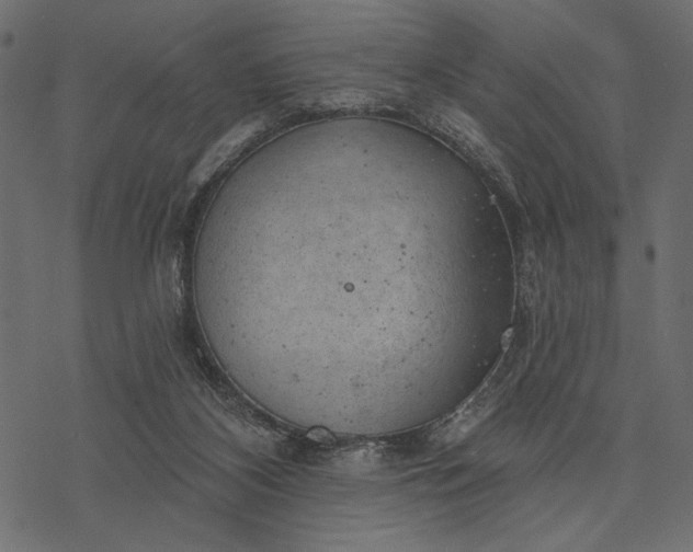 X0000077320116200611031715