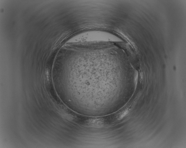 X0000077320117200611031715