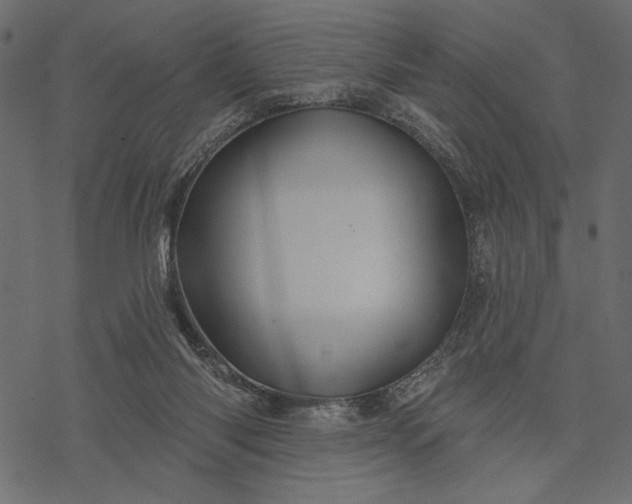 X0000077320118200611031715