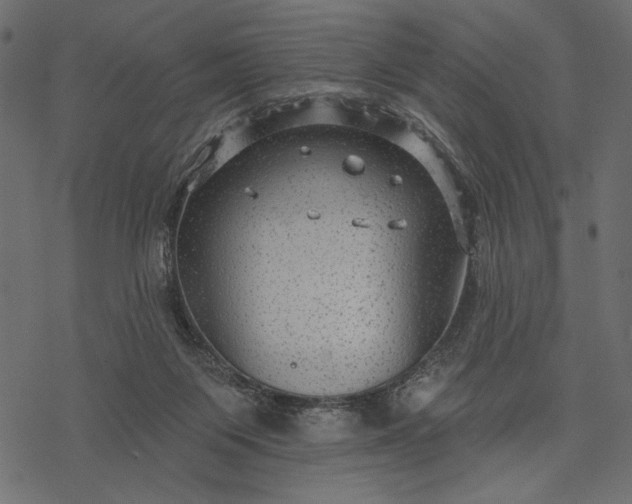 X0000077320119200611031715