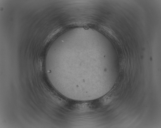 X0000077320120200611031715