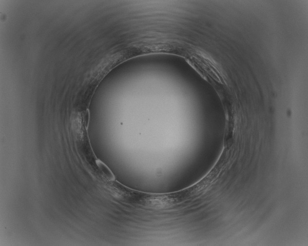 X0000077320121200611031715