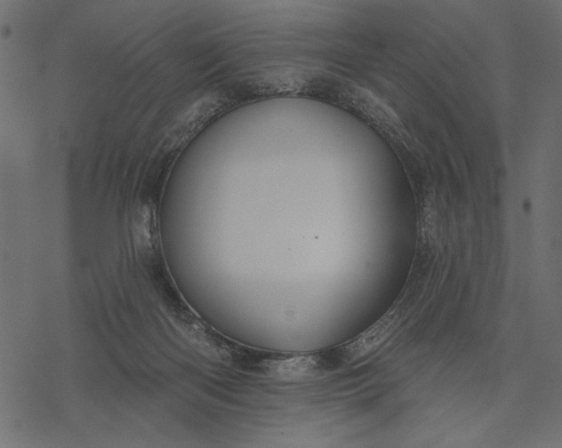 X0000077320122200611031715