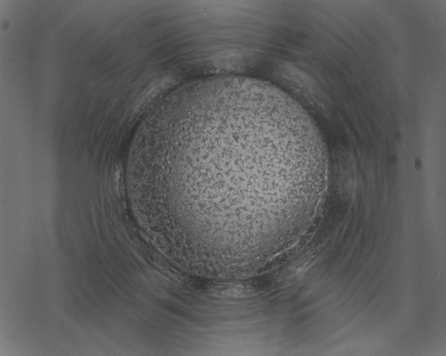 X0000077320123200611031715