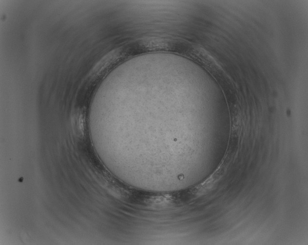 X0000077320124200611031715