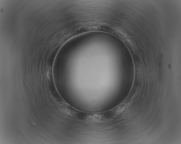 X0000077320125200611031715