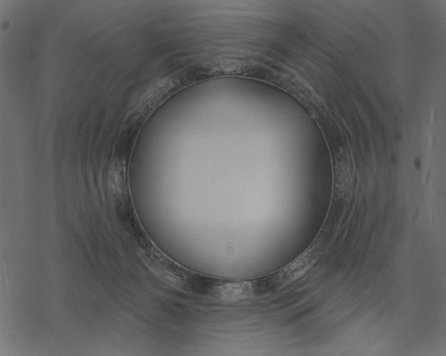 X0000077320126200611031715