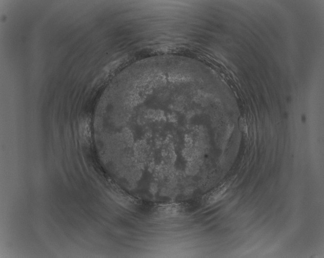 X0000077320127200611031715